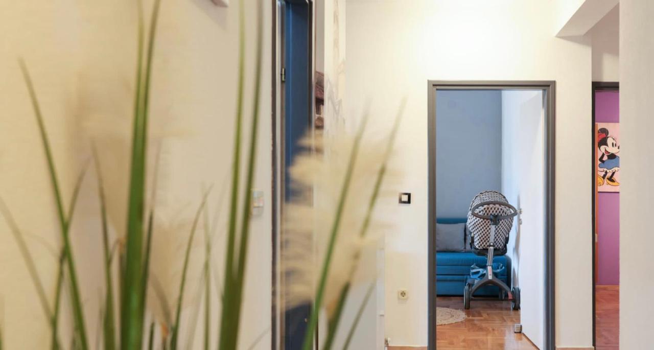 Apartman Nika Sa Jacuzzijem ザダル エクステリア 写真